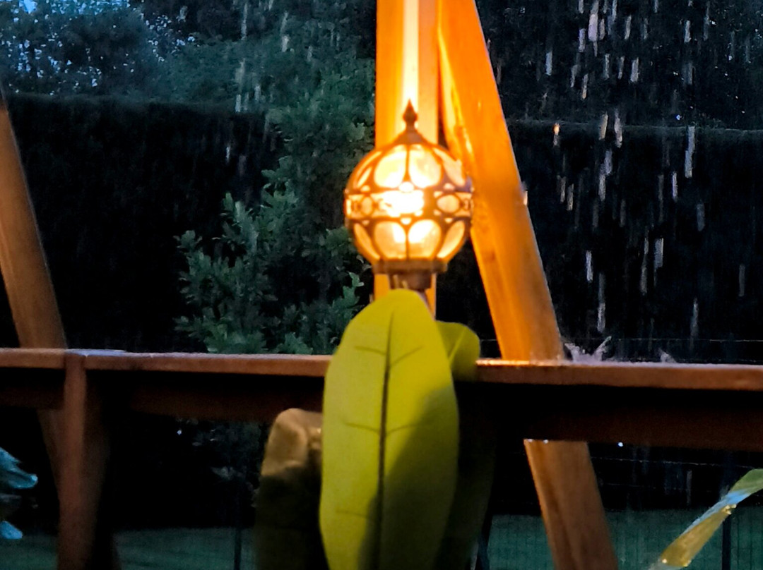 Le Patio À Hourtin