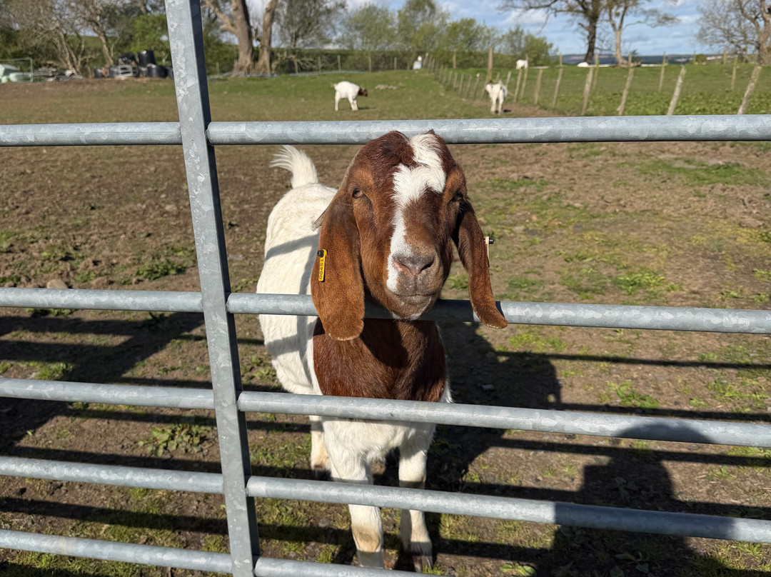 Meikle Westland Farm主图