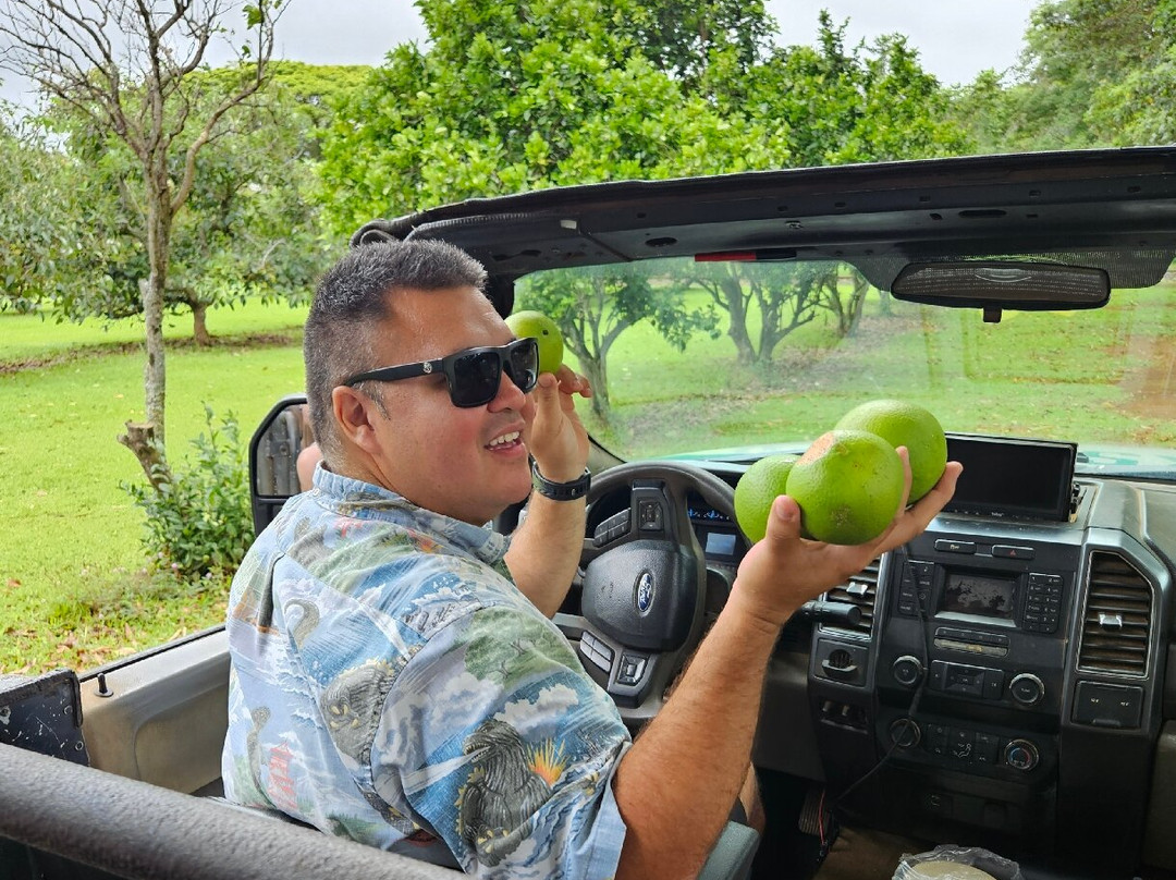 Kauai Safaris-利胡埃必去景点