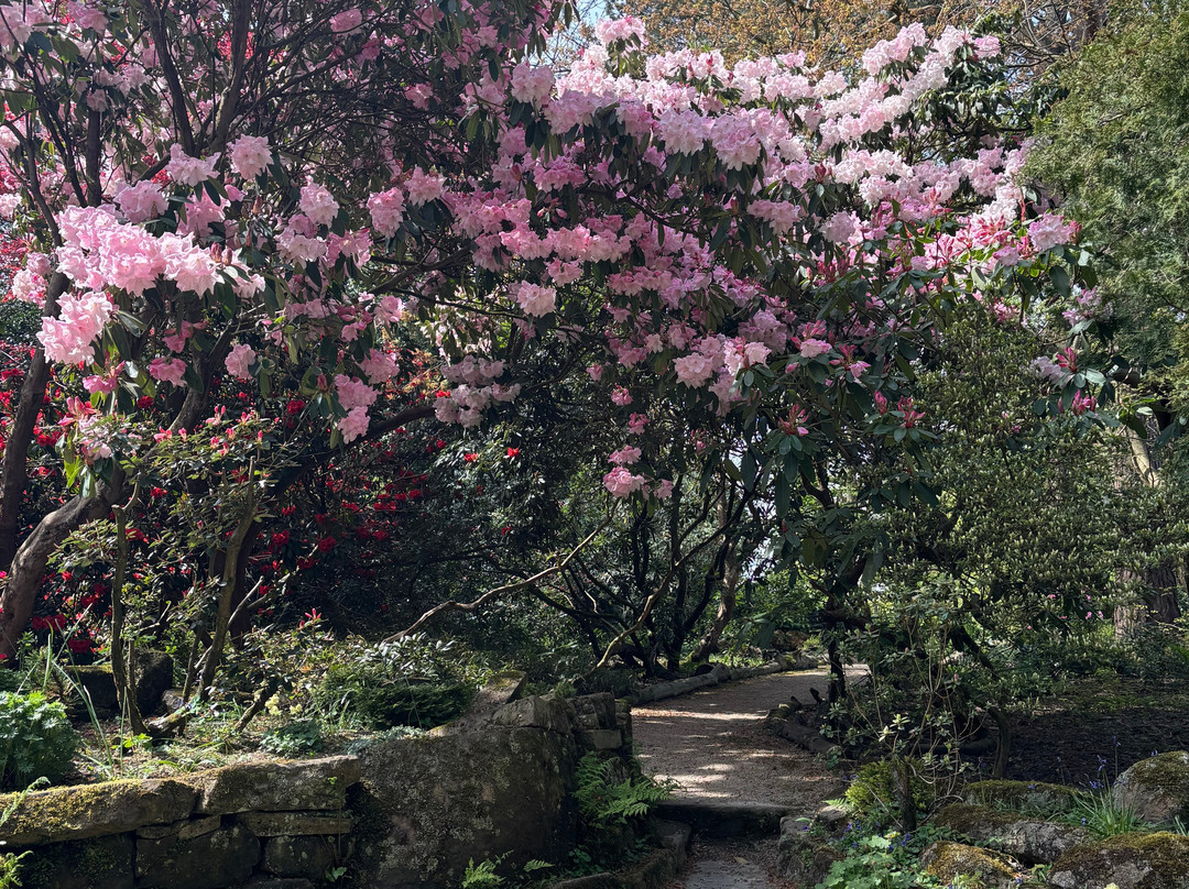 Hare Hill Park And Gardens-Over Alderley必去景点