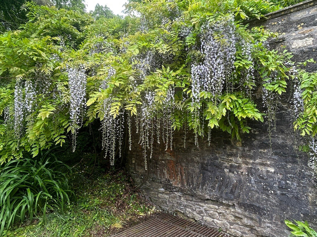 Dyrham Park-Dyrham必去景点