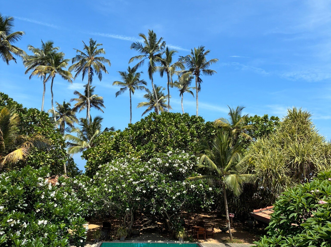 Roman Life Ayurveda Resort主图