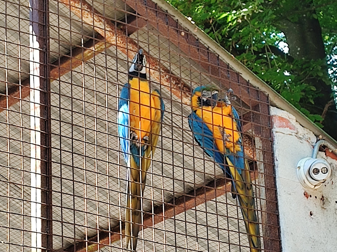 Denmarks Bird Zoo-Tommerup必去景点