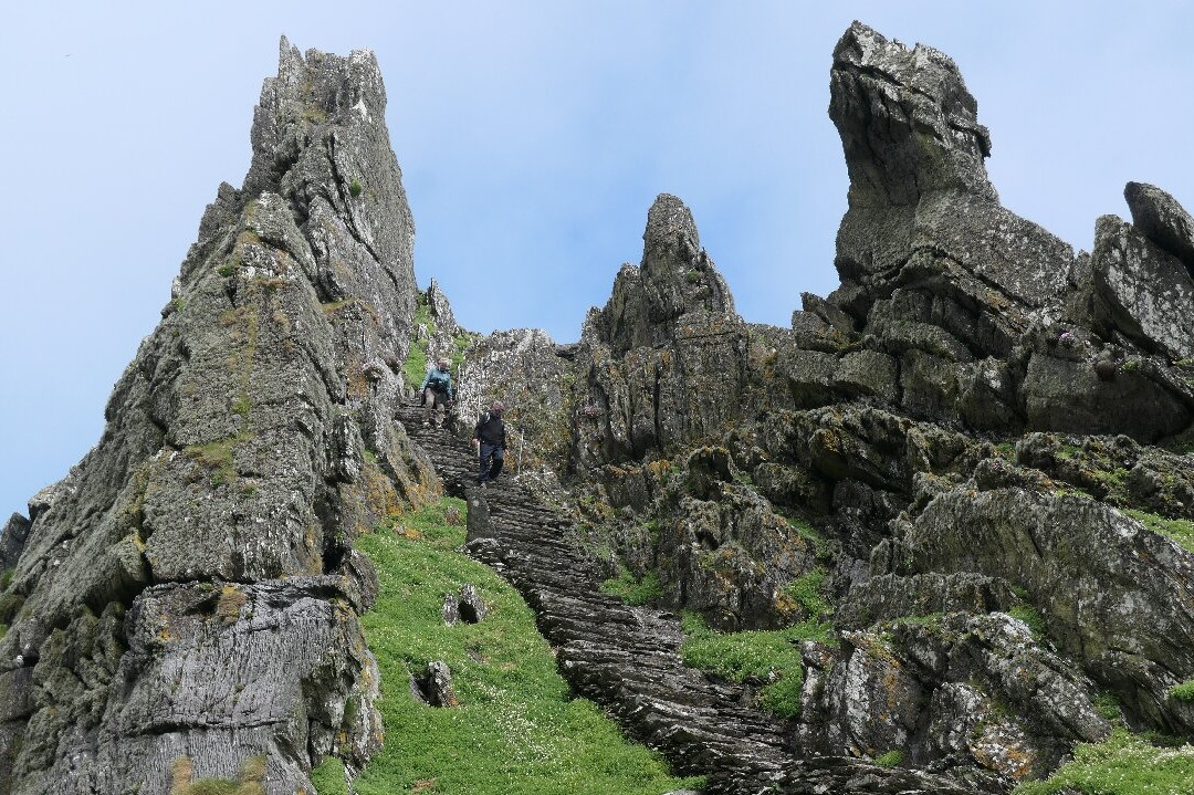 Skellig Falcon-Ballinskelligs必去景点