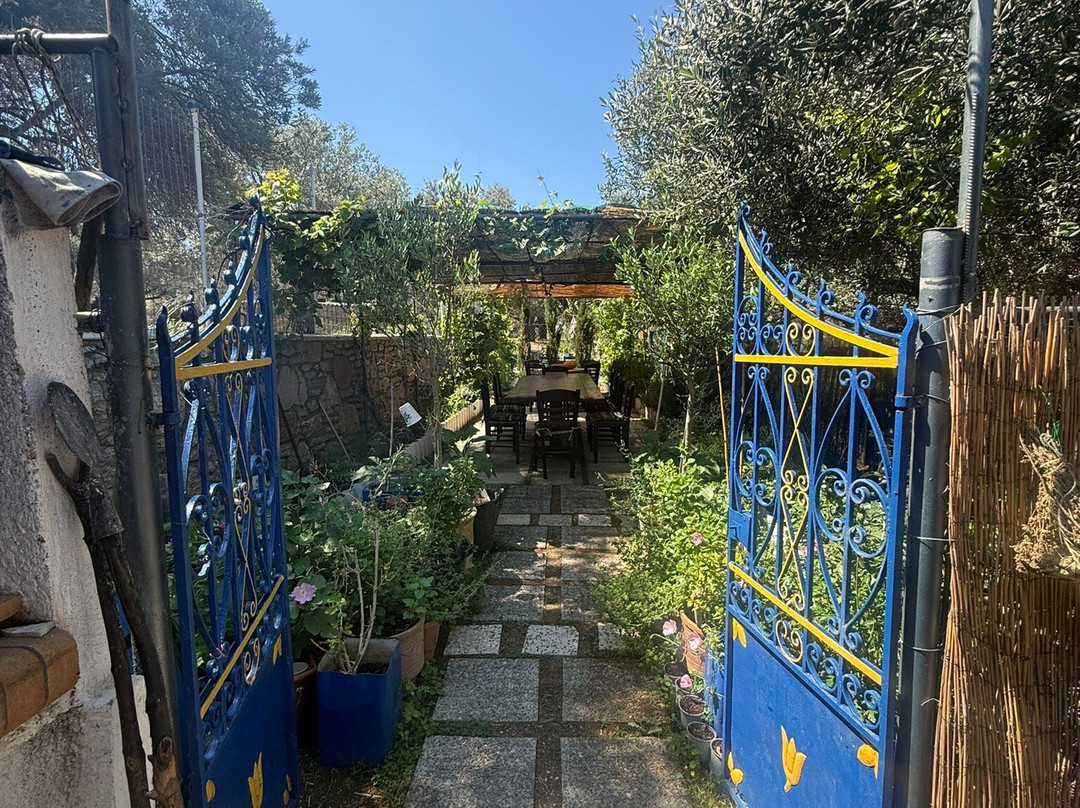 Rhodes Cooking Class-Archangelos必去景点