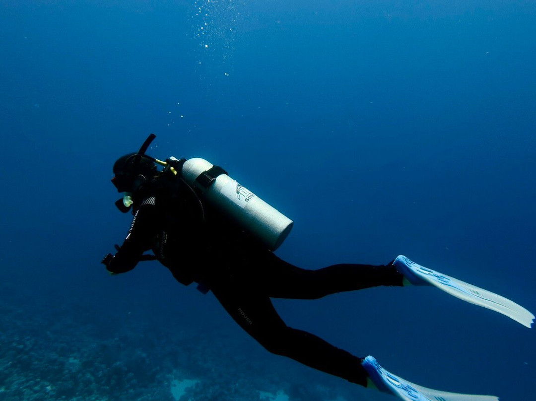 ORCA Dive Club Soma Bay-索马湾必去景点