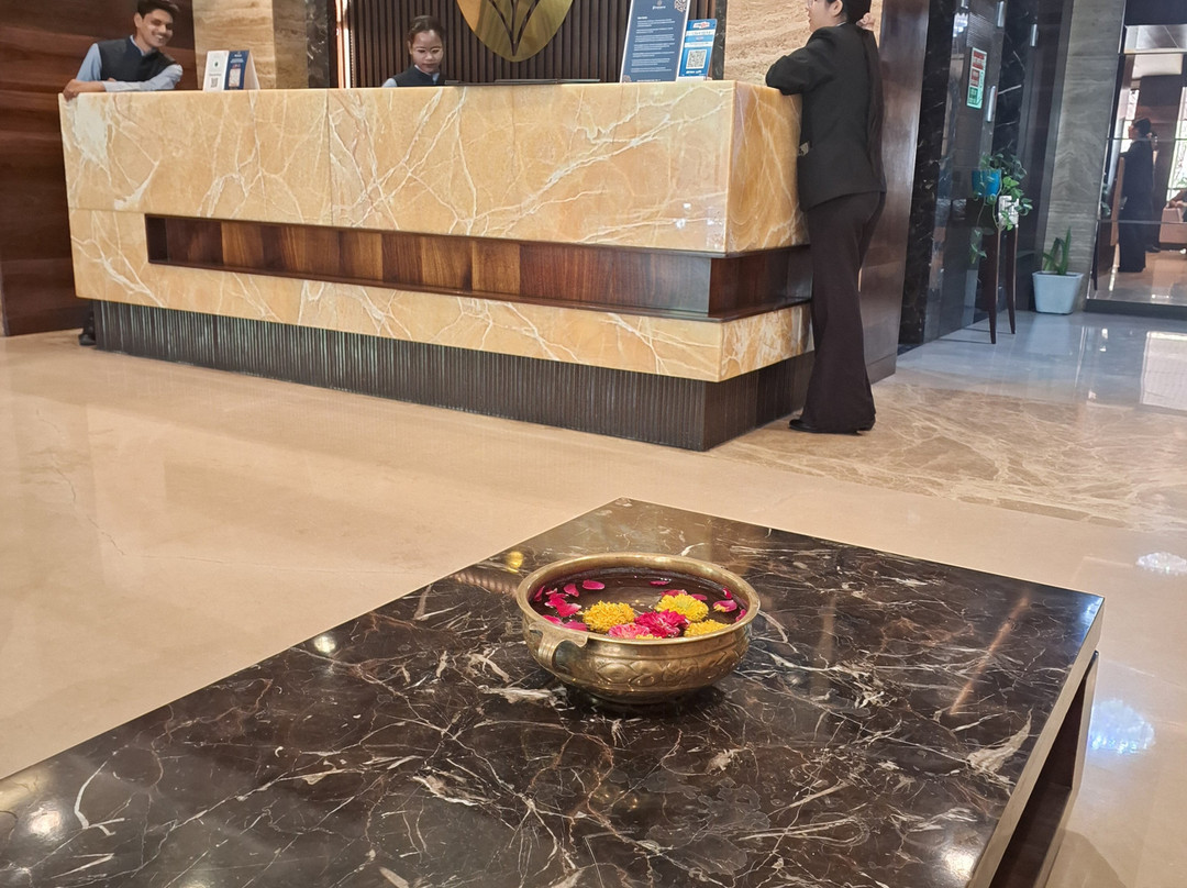普拉瓦萨酒店印多尔主图