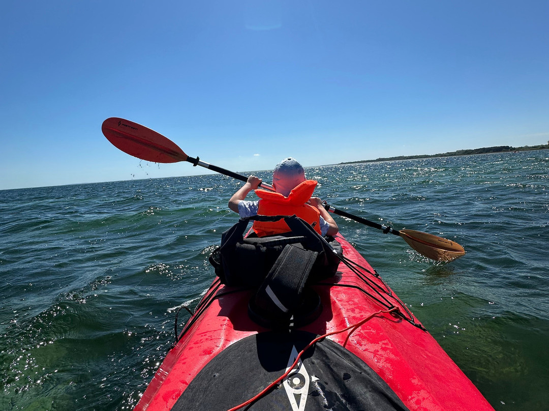 Kayakomat Roervig Harbour