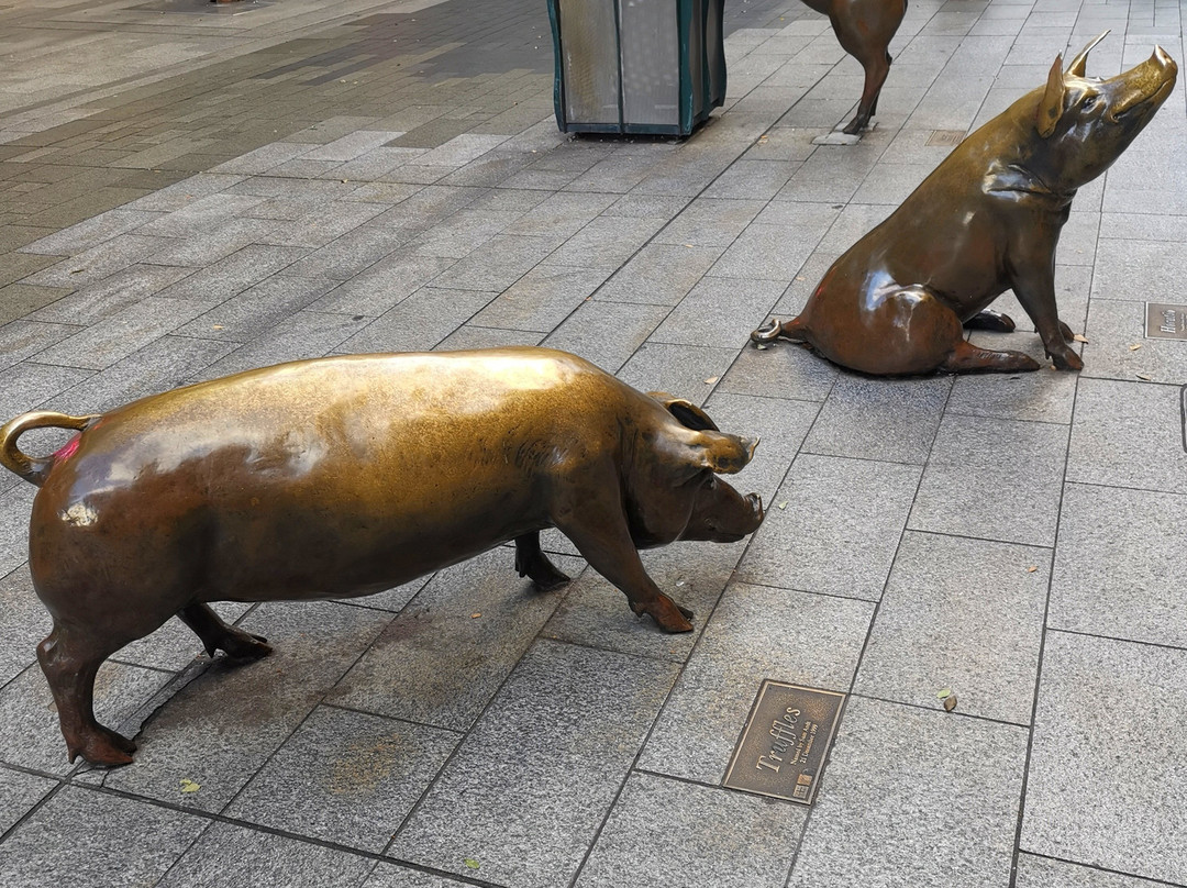 The Rundle Mall Pigs-阿德莱德必去景点