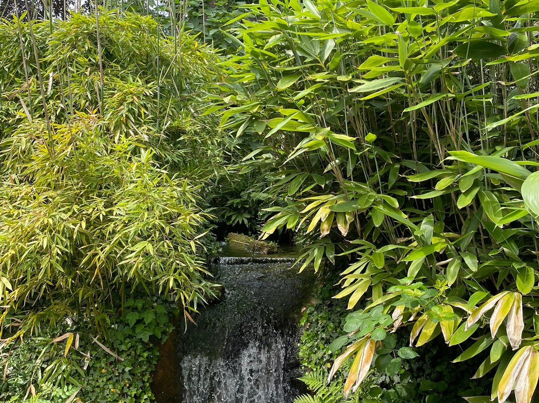 Japanischer Garten-凯撒斯劳滕必去景点