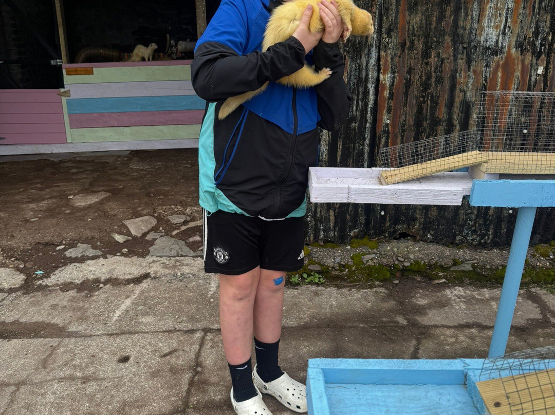 Fiáin Experiences - Wild Atlantic Wildlife Park-丁格尔必去景点