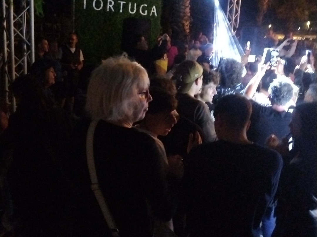 Tortuga beach