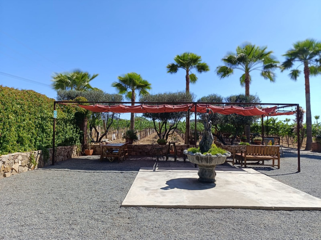 Lechuza Vineyard-Valle de Guadalupe必去景点