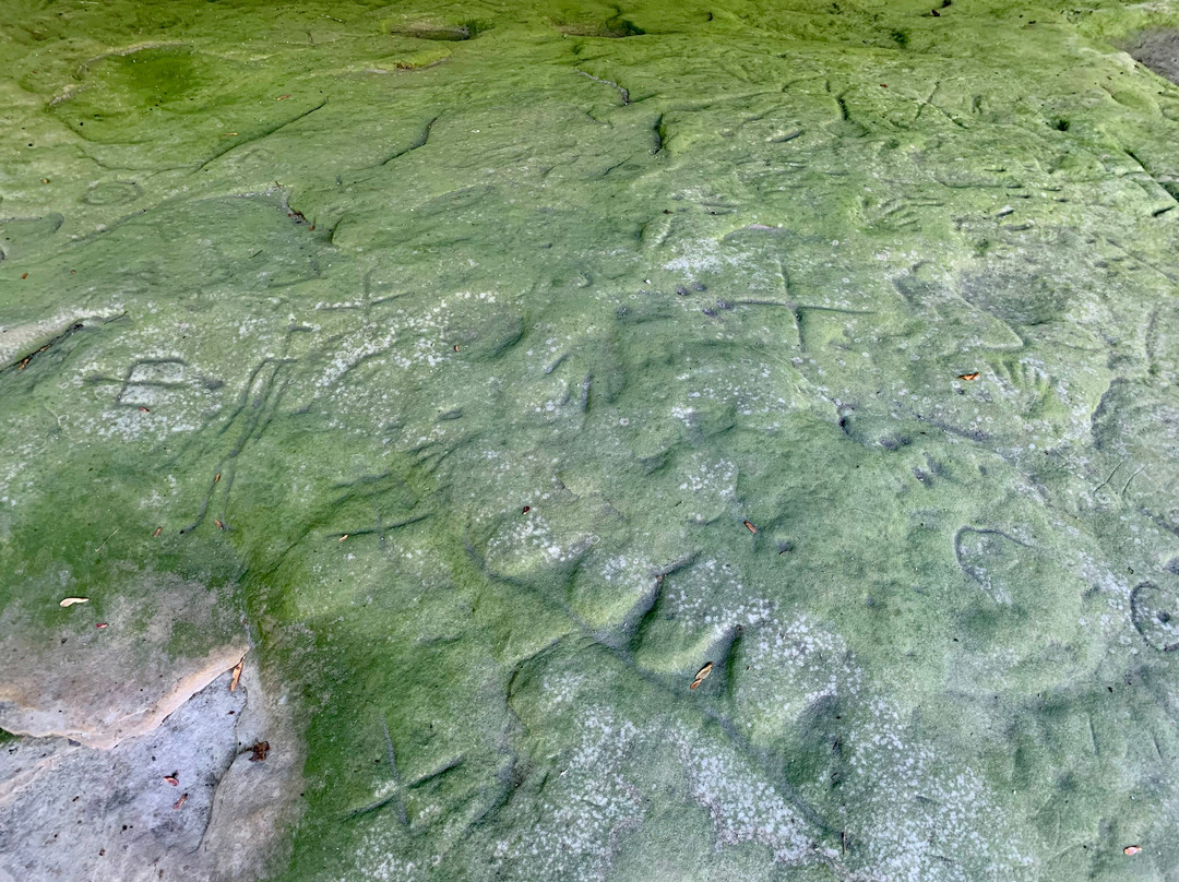 Sanilac Petroglyphs-Cass City必去景点