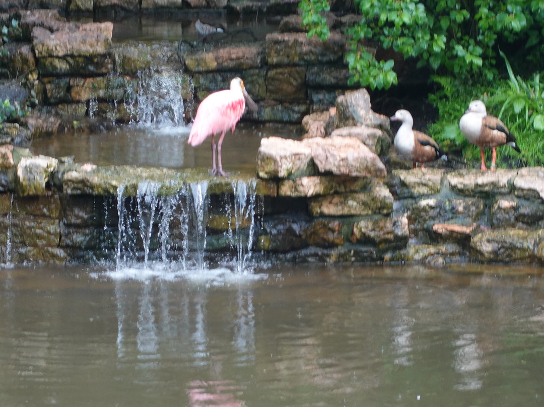 Weltvogelpark Walsrode-Walsrode必去景点