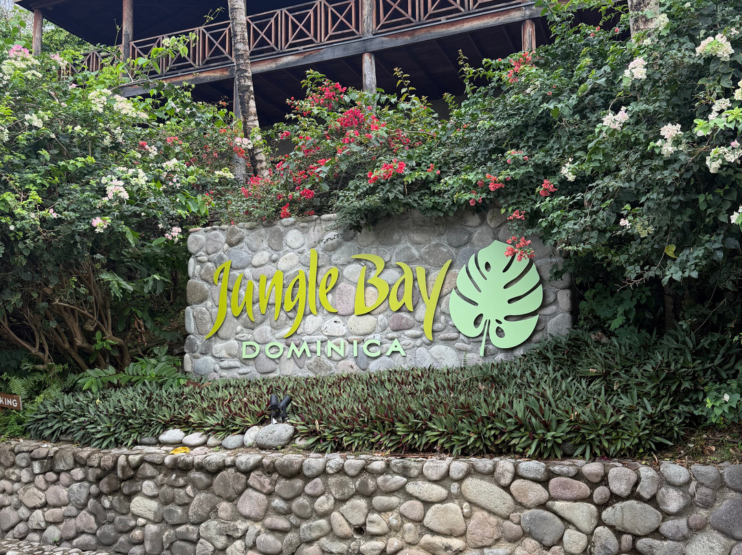 Jungle Bay Dominica主图