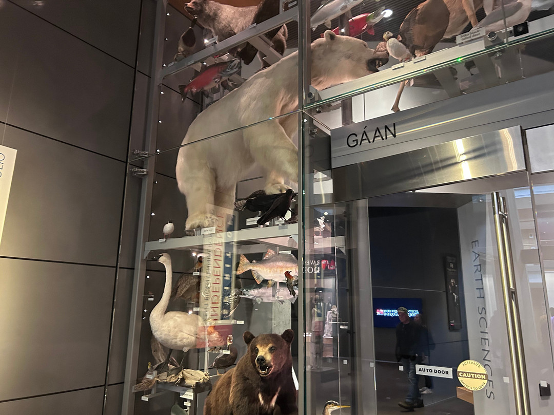 Alaska State Museum-朱诺必去景点