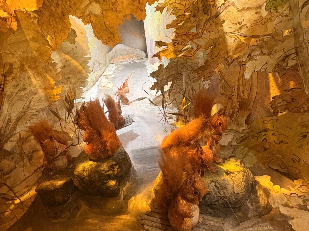 彼得兔世界-波尼斯-温德米尔必去景点