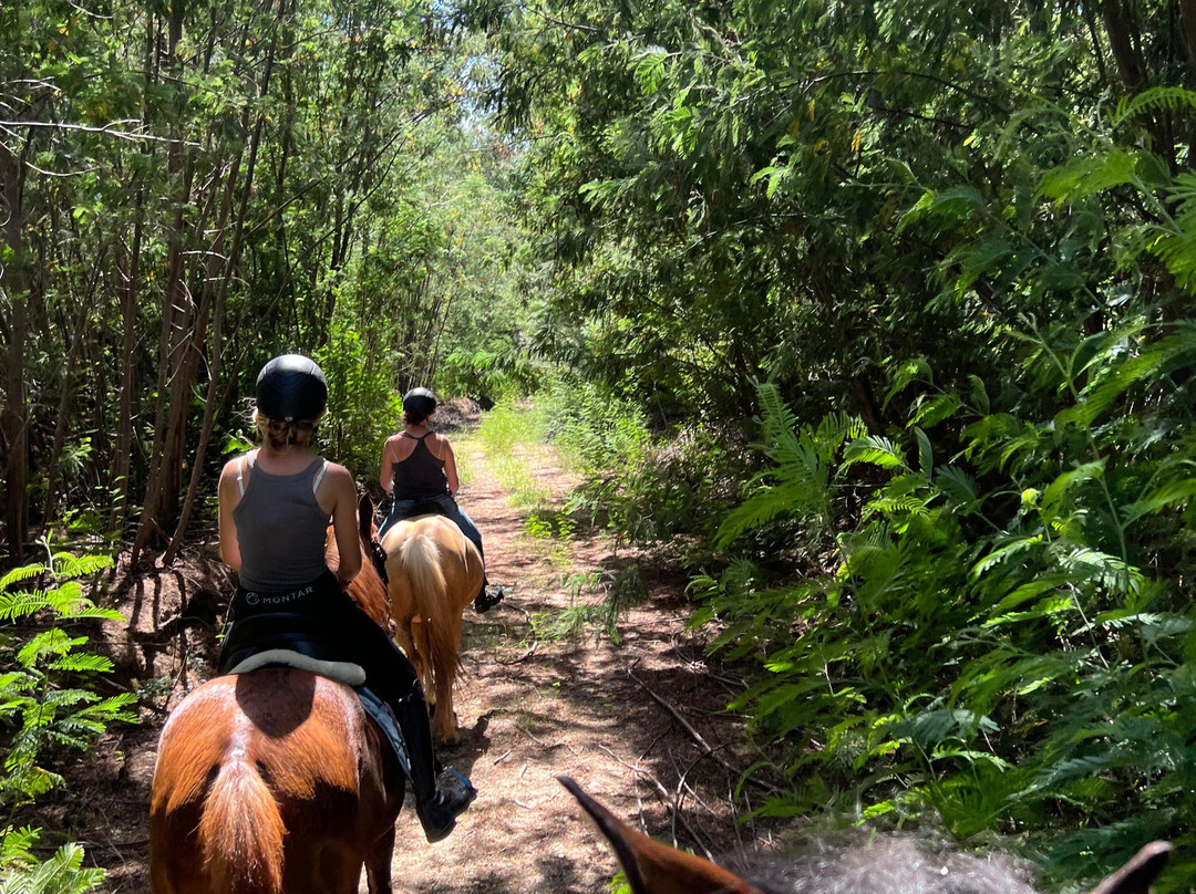 ATV & Horse Tours Central Portugal-Nogueira do Cravo必去景点
