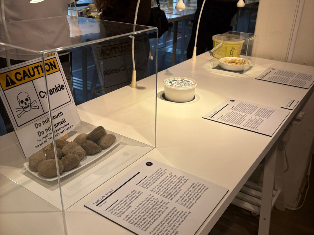 Disgusting Food Museum-马尔默必去景点