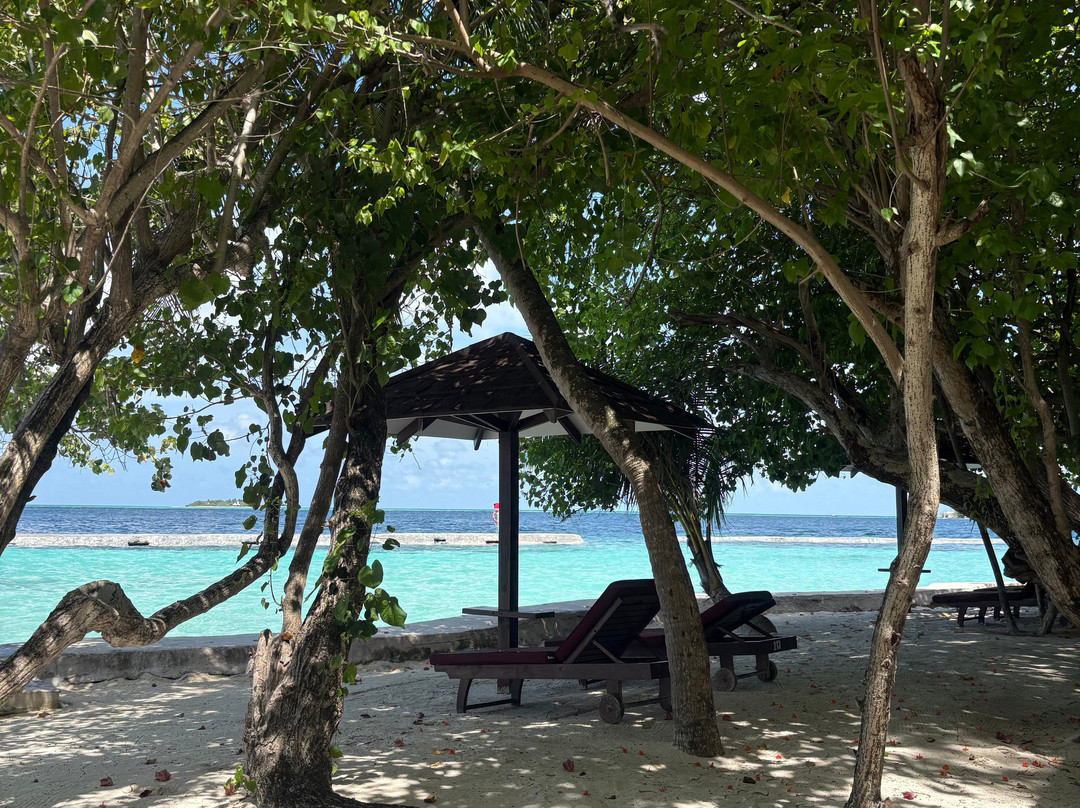 马尔代夫Ellaidhoo Cinnamon酒店主图