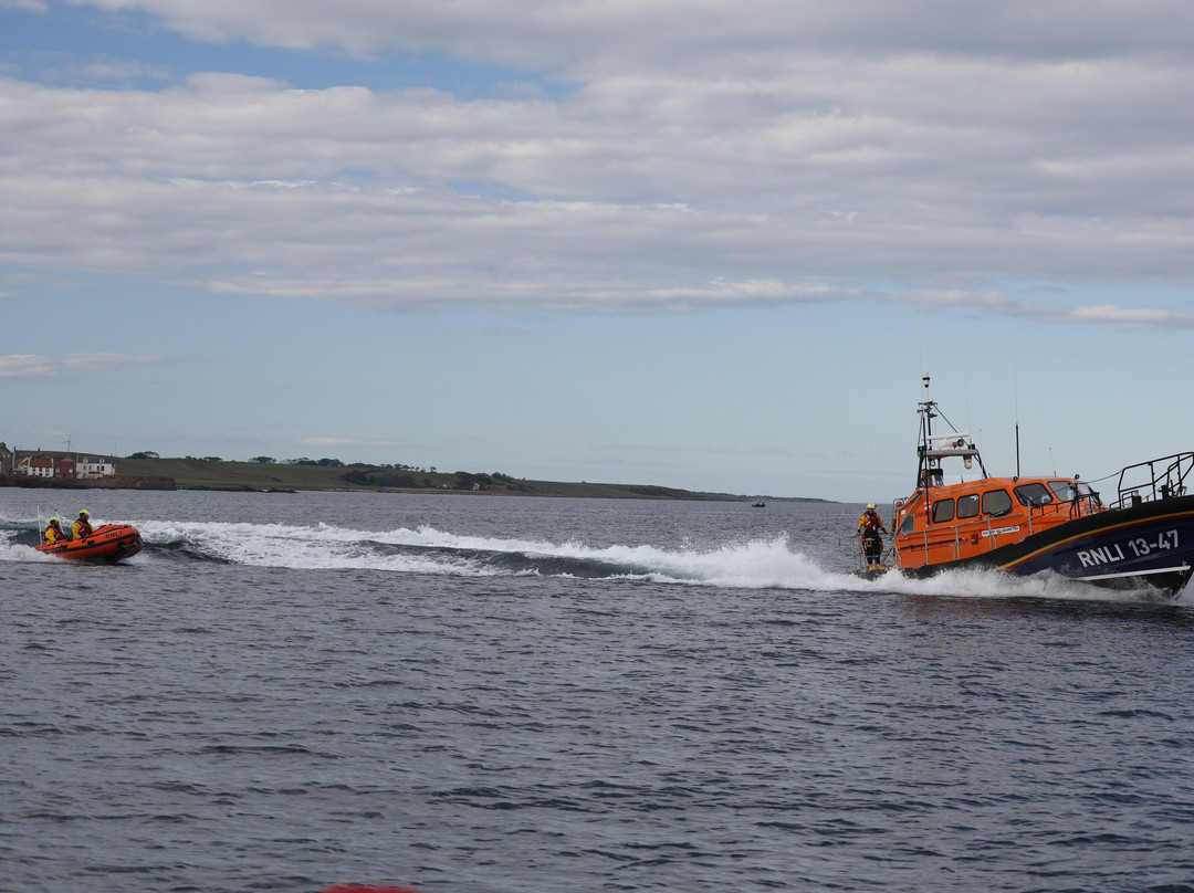 Anstruther Pleasure Cruises-Boat Day Tours-Anstruther必去景点