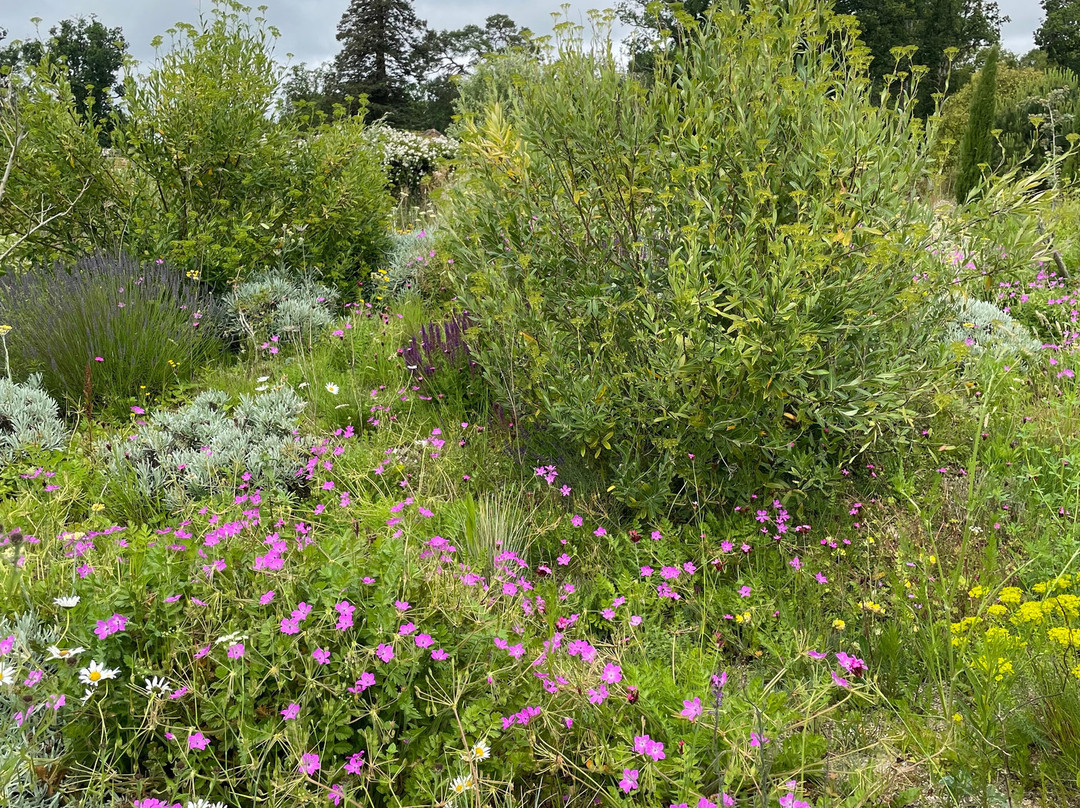 Knepp Rewilded Walled Garden-West Grinstead必去景点