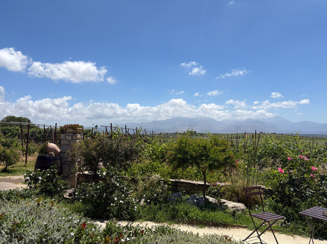 Lyrarakis Winery-伊拉克利翁必去景点