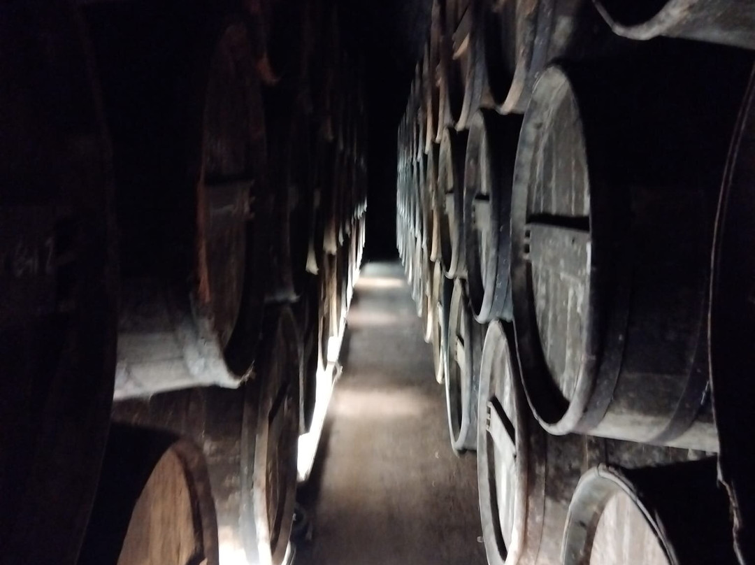 Le Château De Cognac-干邑必去景点