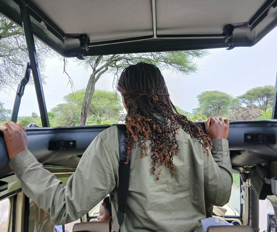 Tarangire National Park-塔兰吉雷国家公园必去景点