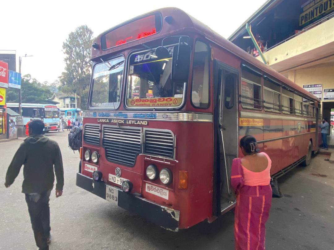 Driver in Sri Lanka-科伦坡必去景点