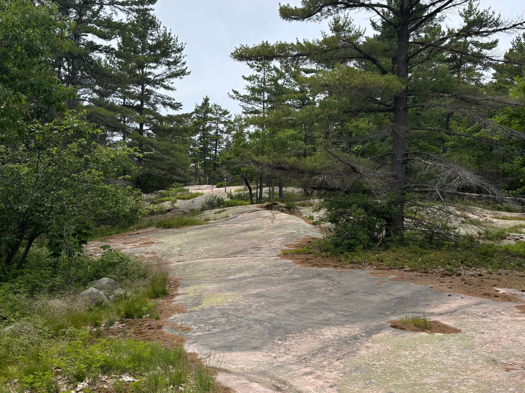 Killbear Provincial Park-Nobel必去景点