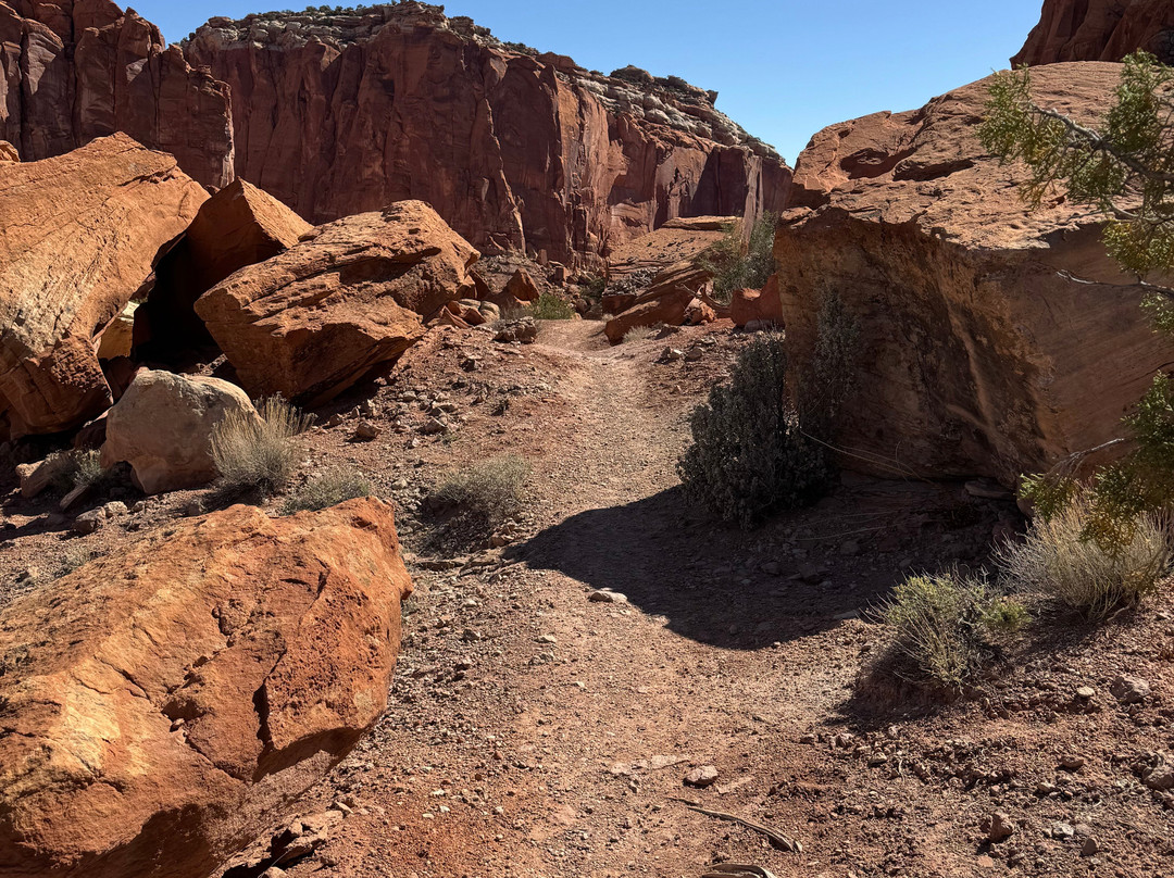 Capitol Reef National Park Visitor Center-圆顶礁国家公园必去景点