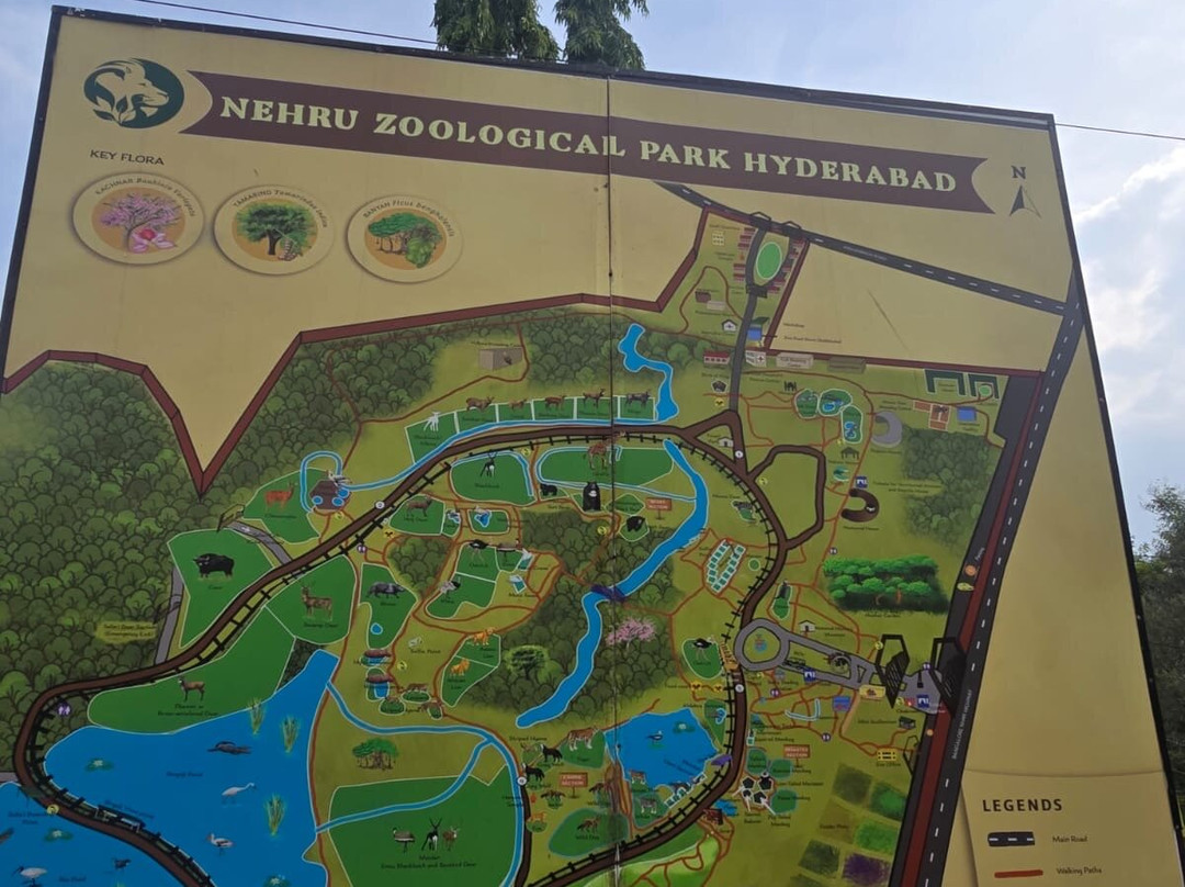 Nehru Zoological Park-海德拉巴必去景点