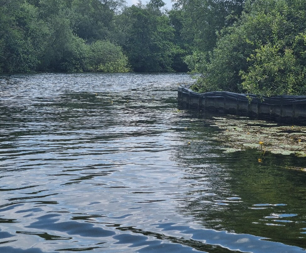 Broads Tours River Trips-罗克瑟姆必去景点