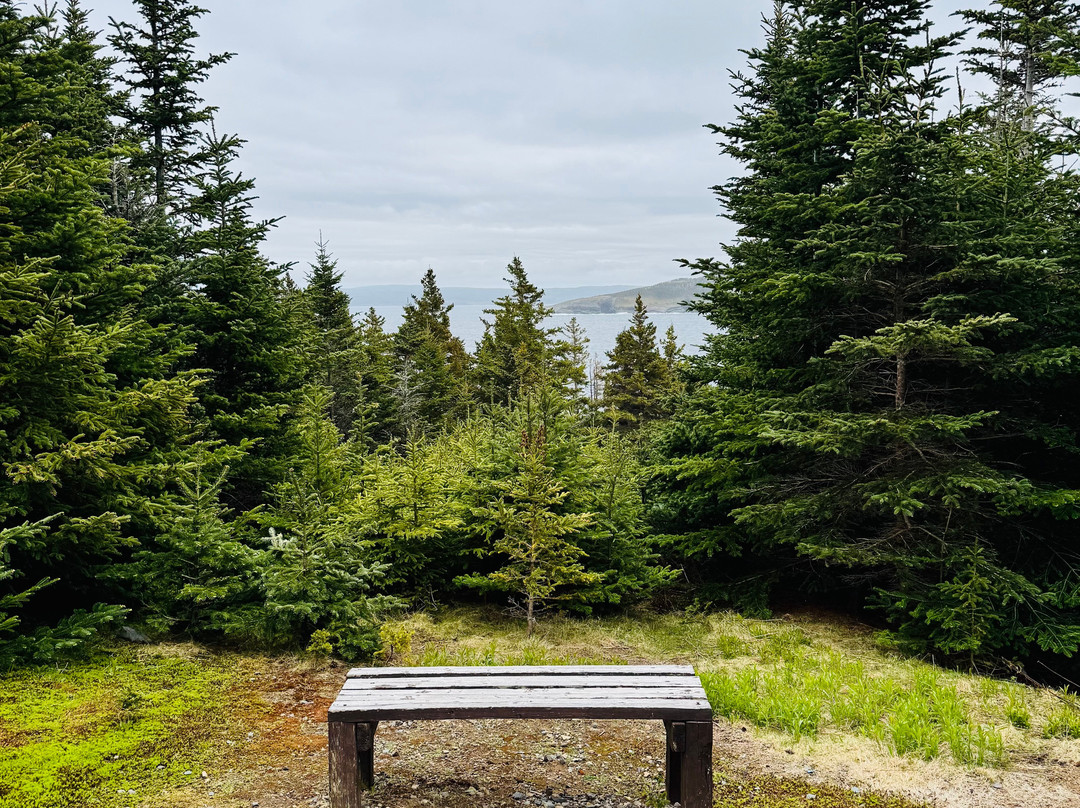 King’s Cove Lighthouse-Bonavista必去景点