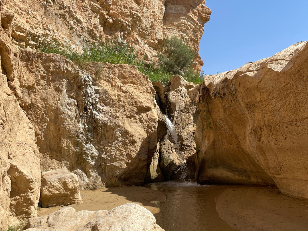Tamerza Canyon-吐泽尔必去景点