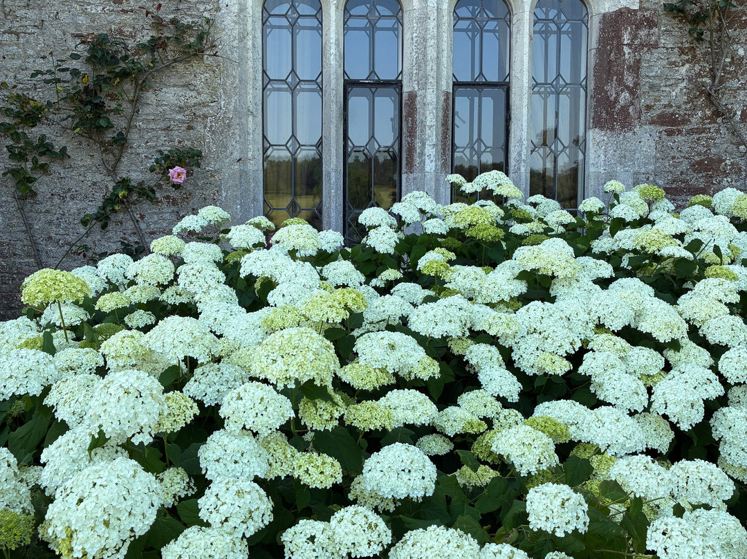 Loseley Park-吉尔福德必去景点