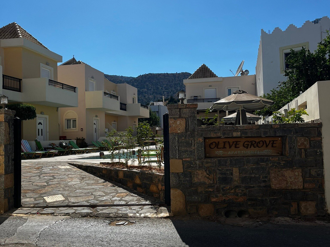 Olive Grove Apartments主图