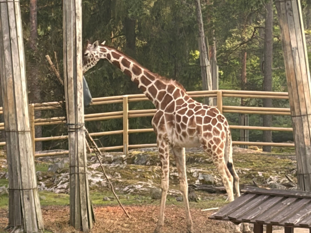 Kolmården Zoo-Kolmarden必去景点