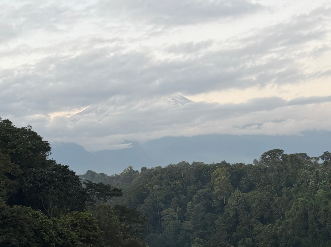 Furahia Tanzania Safari & Trekking Ltd-阿鲁沙必去景点