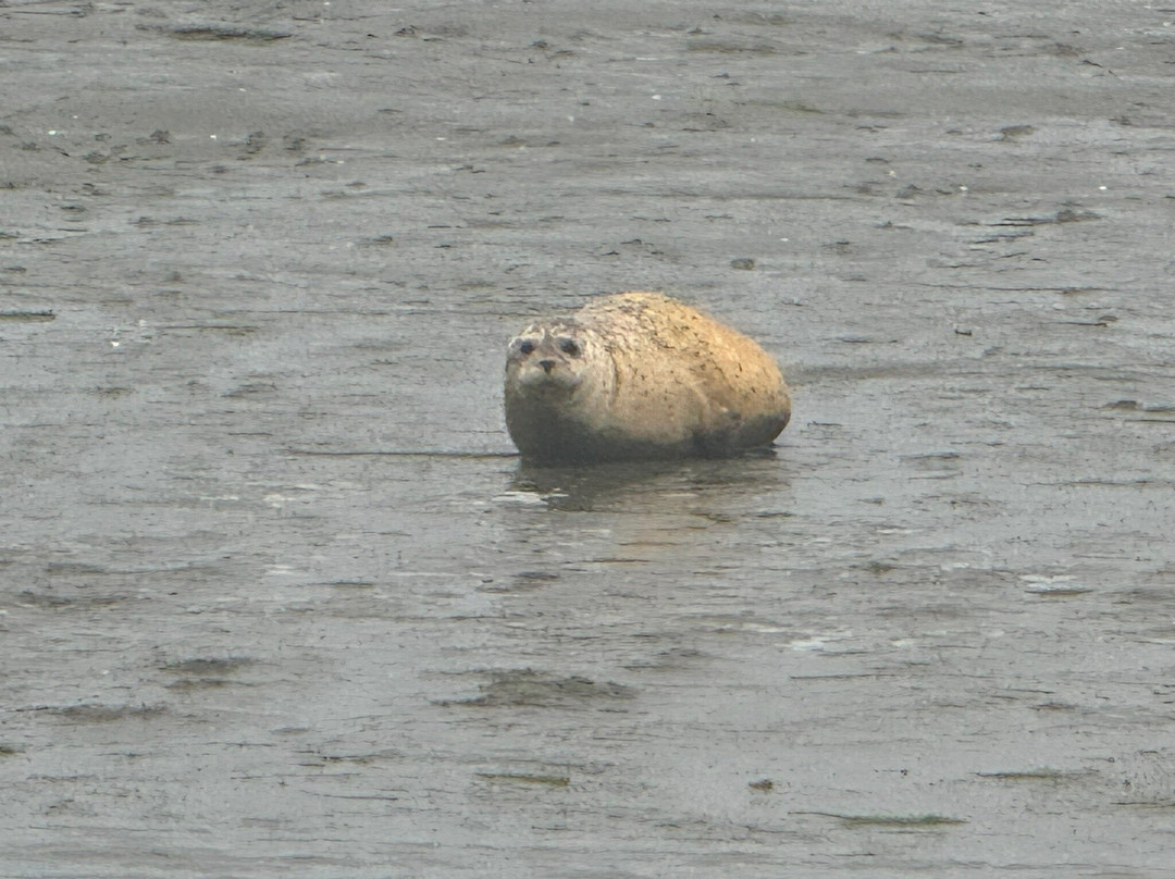 Chichester Harbour Water Tours-West Itchenor必去景点