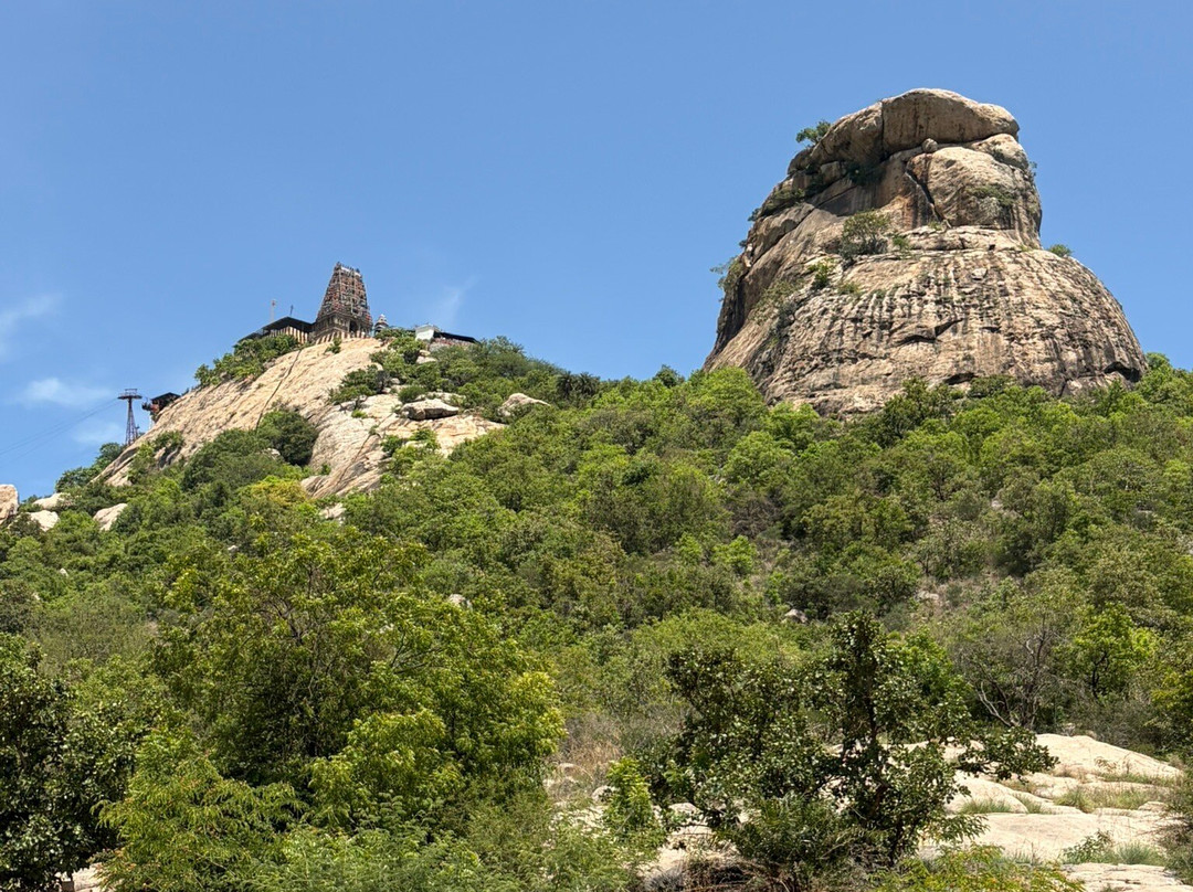 Sri Yoga Narasimhar Temple Sholingur-Sholinghur必去景点