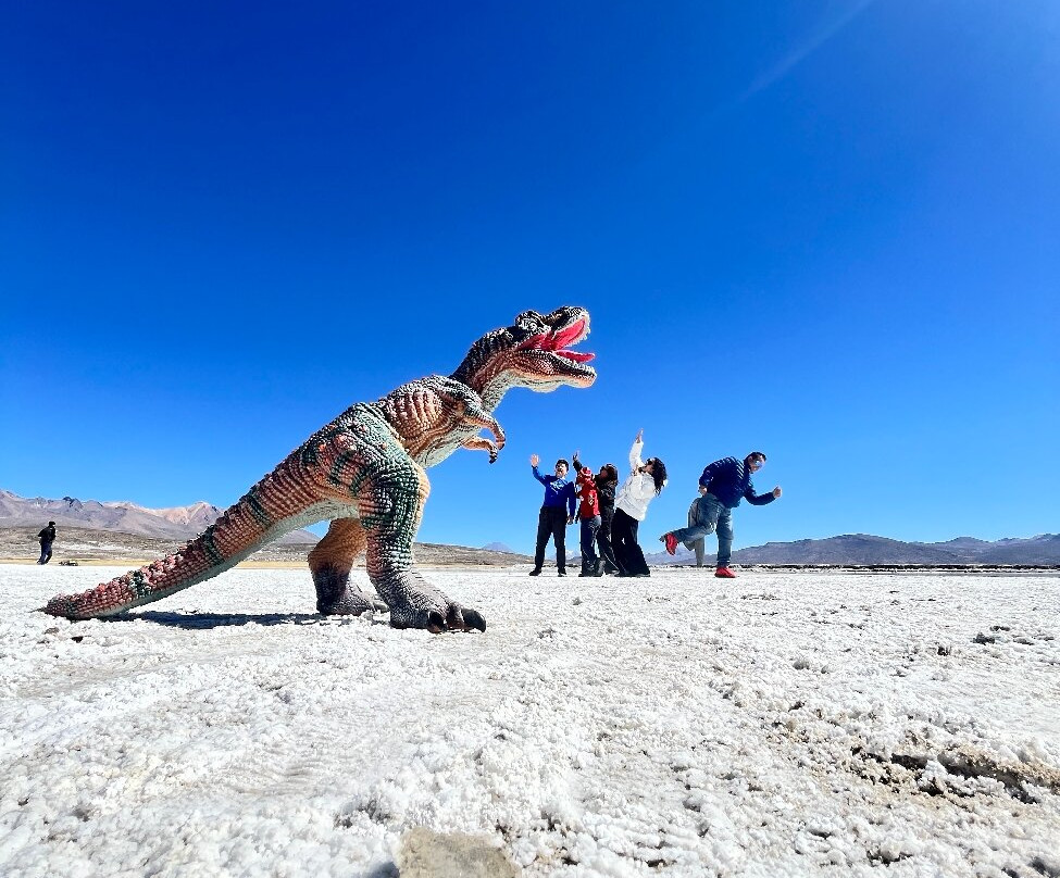Salinas y Aguada Blanca National Reserve-阿雷基帕必去景点