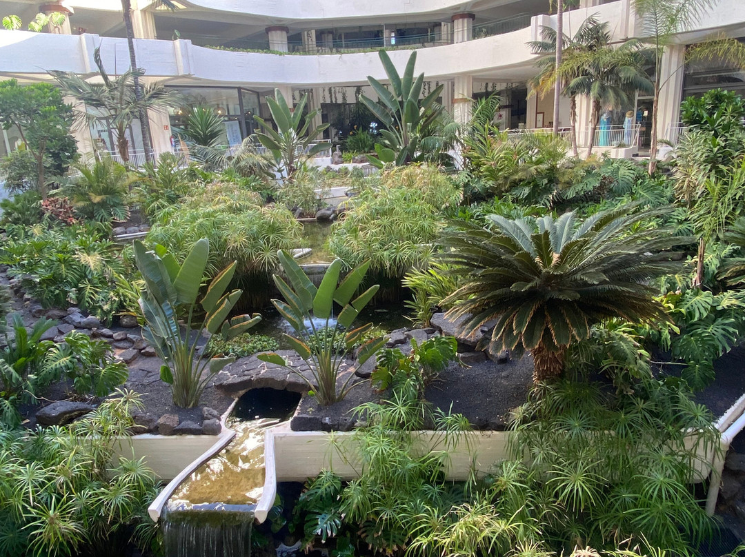 Paradisus Salinas Lanzarote –  全包 - 仅限成人主图