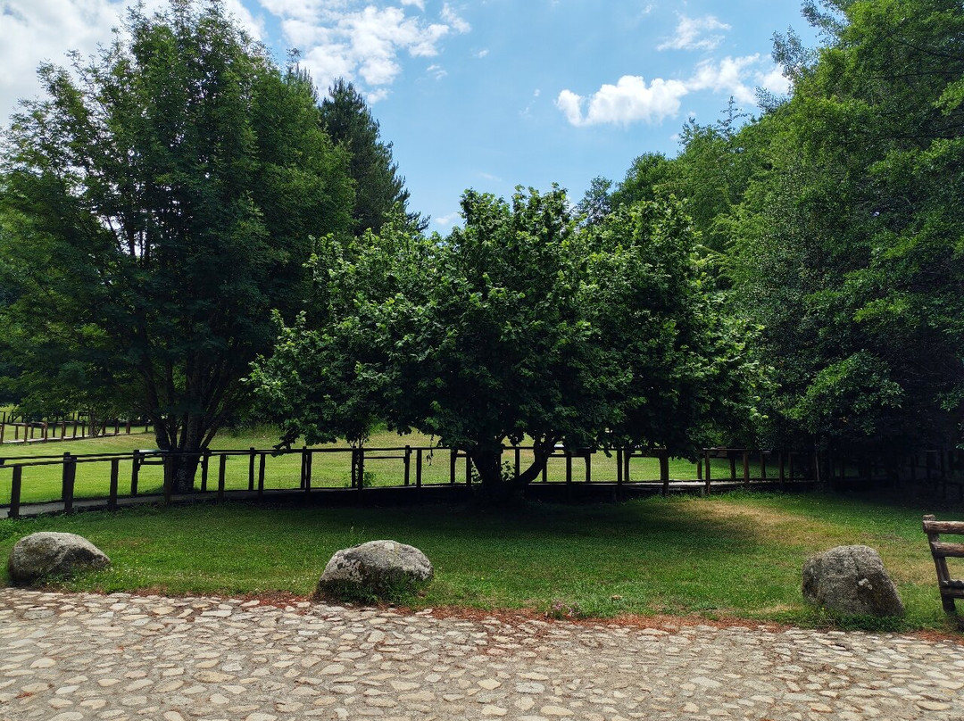 Lago Cecita-Spezzano della Sila必去景点