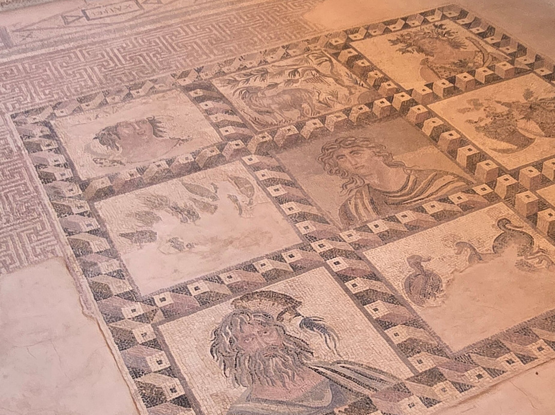 Kato Paphos Archaeological Park-帕福斯必去景点