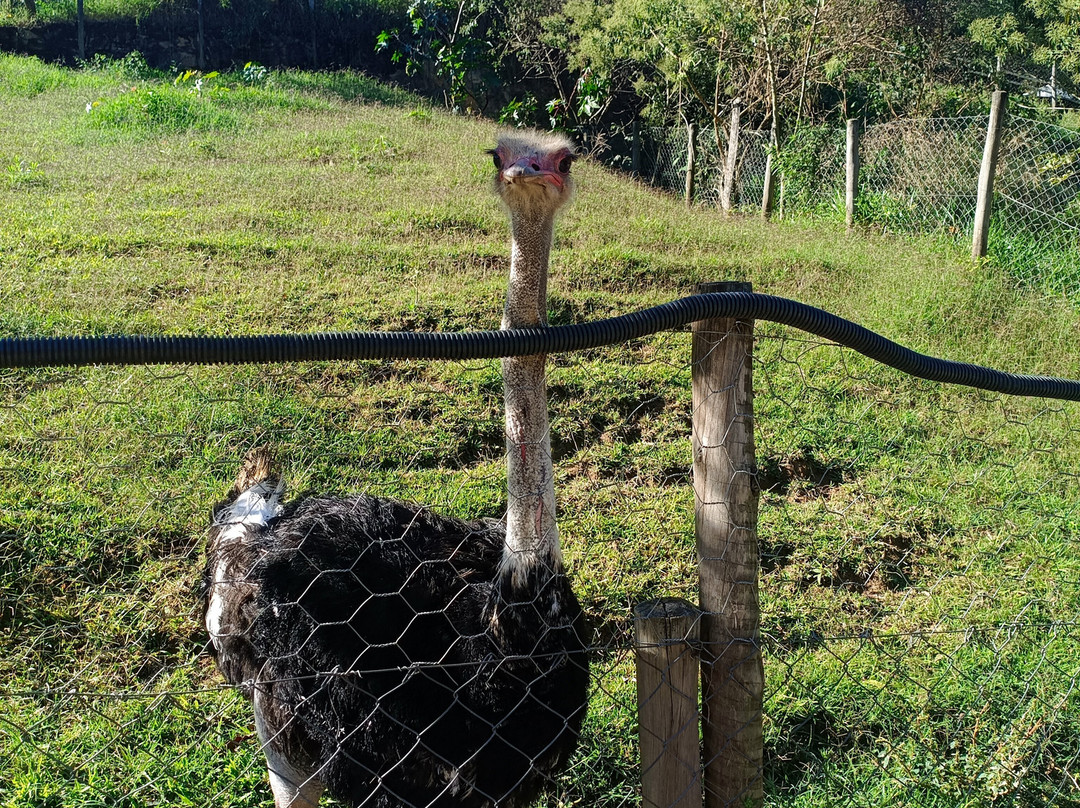 Hotel Fazenda Terra Dos Sonhos主图