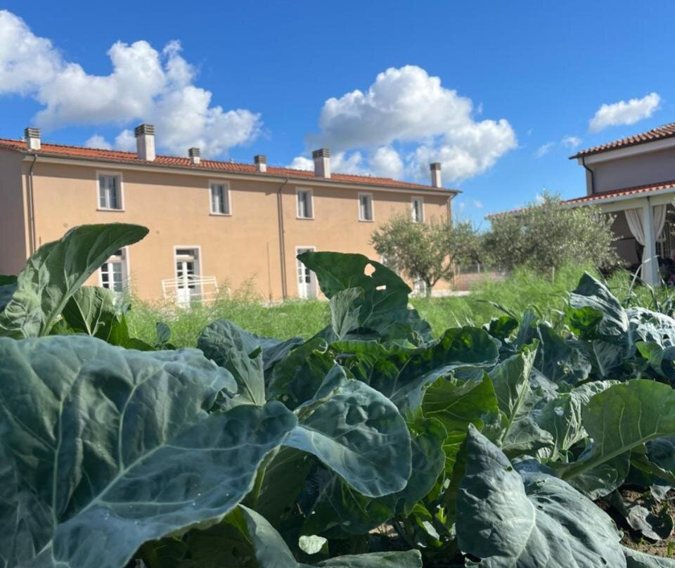 Agriturismo Le Spighe