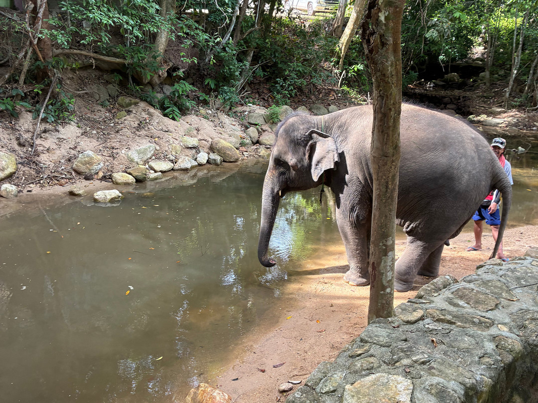 Samui Elephant Spa-苏梅岛必去景点